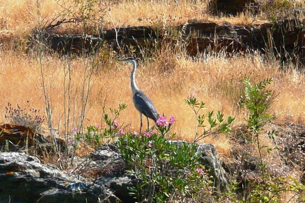 Abetarda Cc Villa Sao Marcos da Ataboeira Luaran gambar